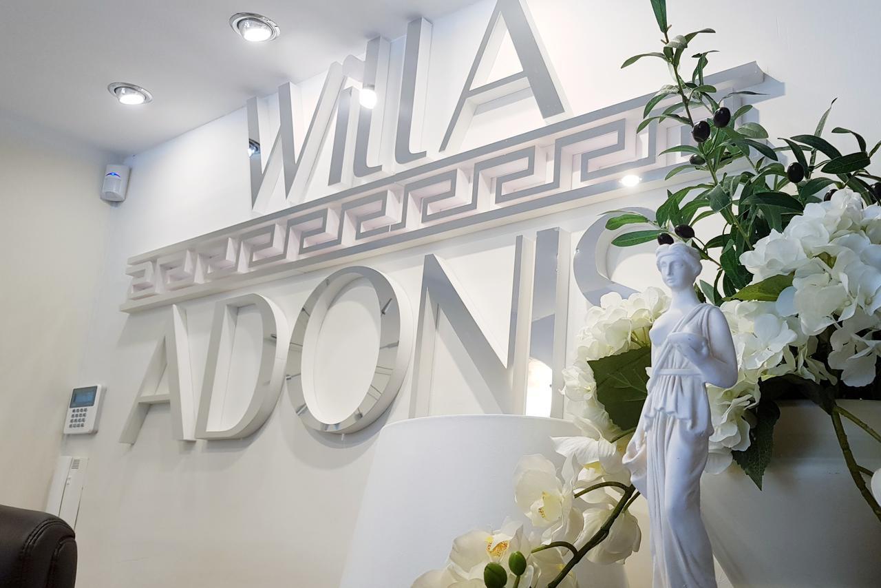 Willa Adonis سفينويتشي المظهر الخارجي الصورة